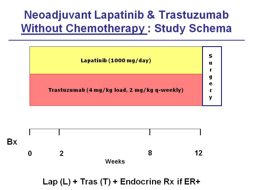TBCRC 006: Neoadjuvant Lapatinib + Trastuzumab Without Chemotherapy: Study Schema [TITLE]