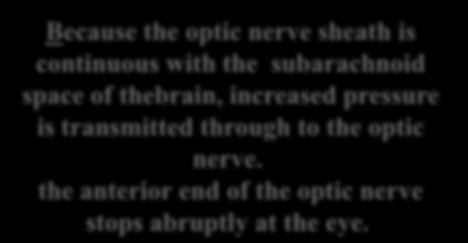 as the eyeball Papilledema Because the optic nerve