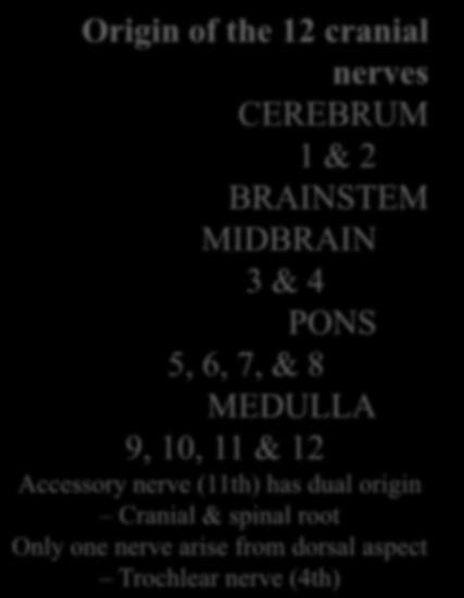 Accessory nerve (11th) has dual origin Cranial & spinal