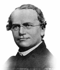 MENDEL S LEGACY Genetics is the field of biology devoted to understanding how characteristics are transmitted from parents to offspring. Genetics was founded with the work of Gregor Johann Mendel.