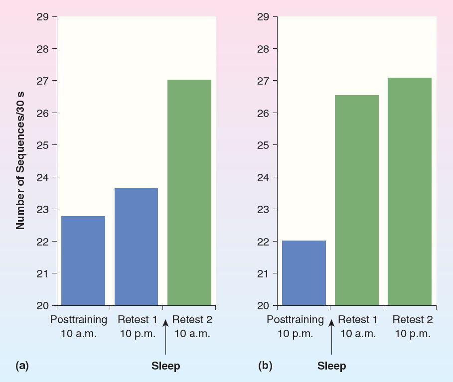 Sleep and Dreaming Functions of REM and Non-REM Sleep Slow wave sleep