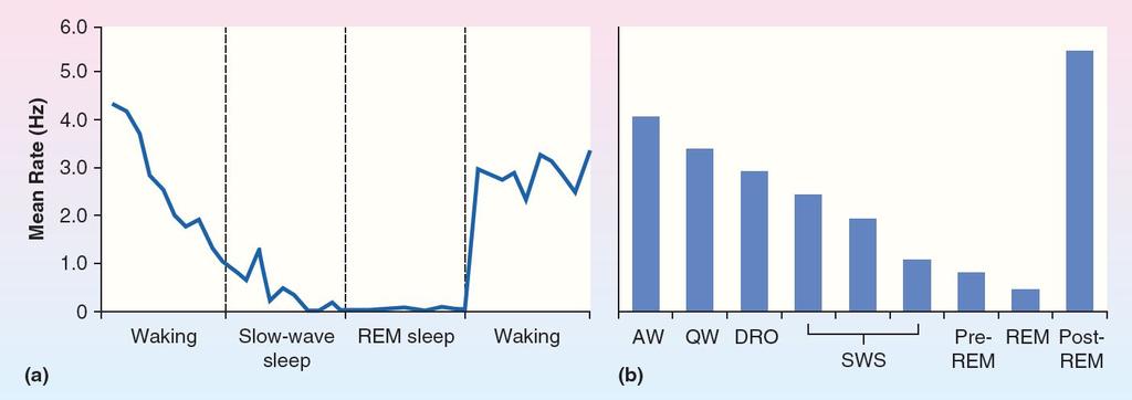 Sleep and Dreaming Figure 15.