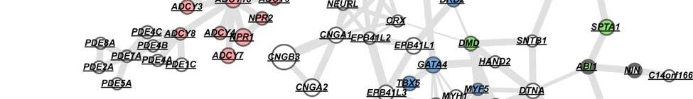 GeneMania Cytoscape plugin.