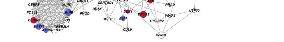 network with the aid of the GeneMania Cytoscape plugin.