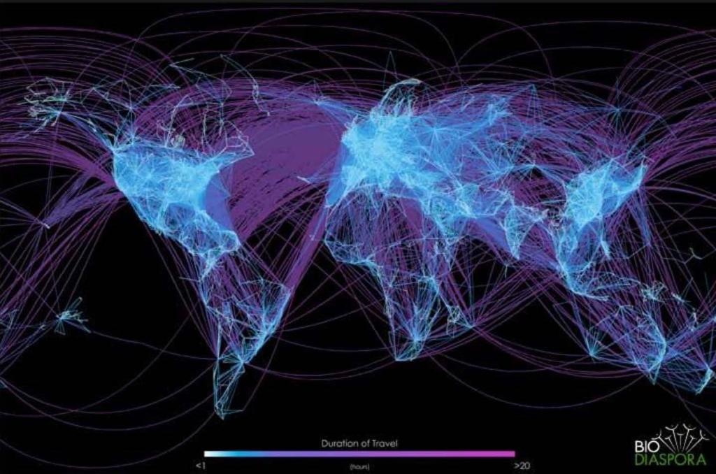 Global airline transportation network visualized by the flight pathways of