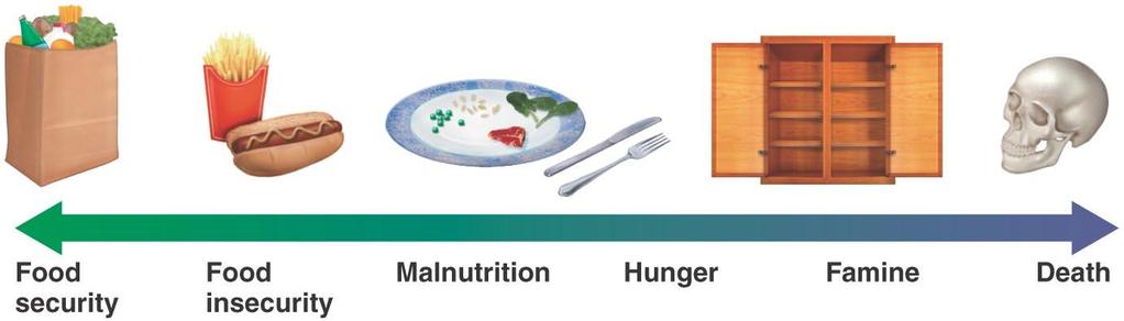 Spectrum of Hunger, Malnutrition and Food Insecurity Currently