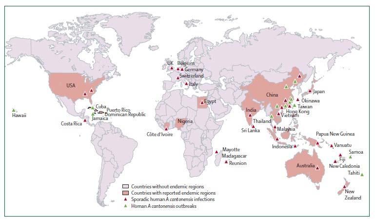 Map of A. cantonensis distribution globally Distribution of A cantonensis and human A cantonensis infections or outbreaks worldwide.