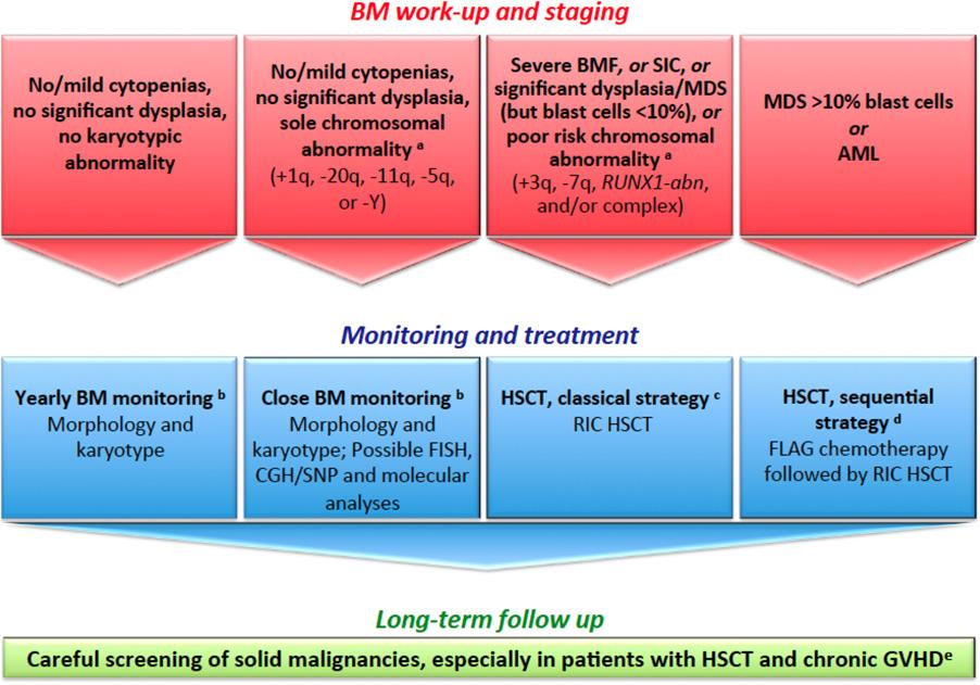 Figure 3. How we diagnose and manage FA patients with MDS and AML.