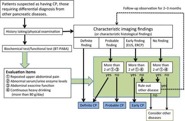 Diagnosis Chronic Pancreatitis: Diagnostic Path