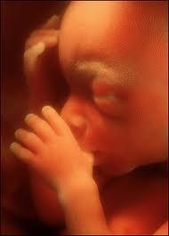 At Birth The infant moves rapidly from a warm, wet, safe womb to a cooler, dry