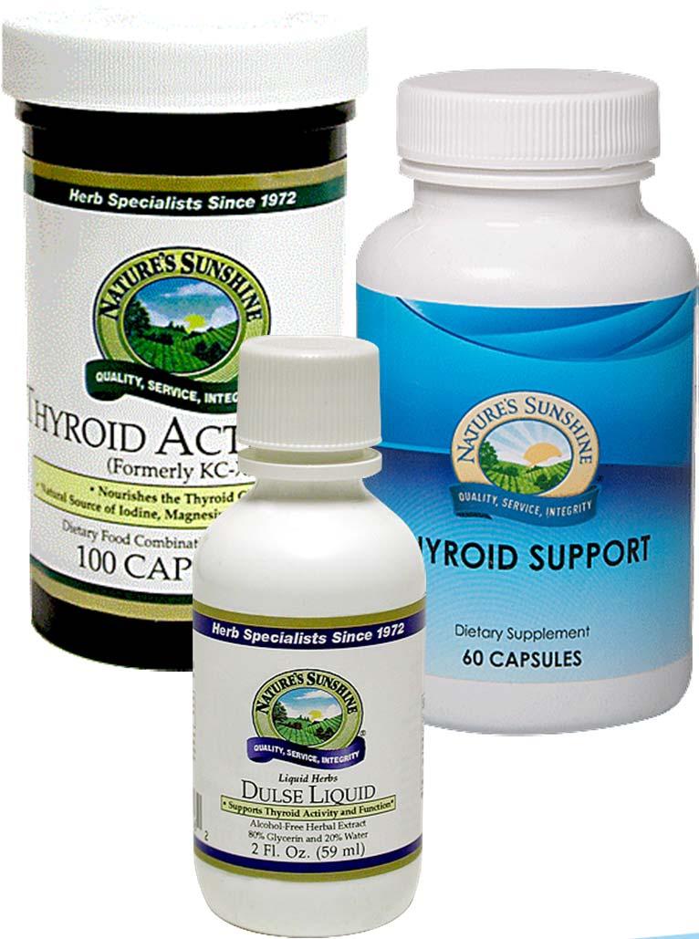 Support for the Thyroid Thyroid Activator Kelp Dulse