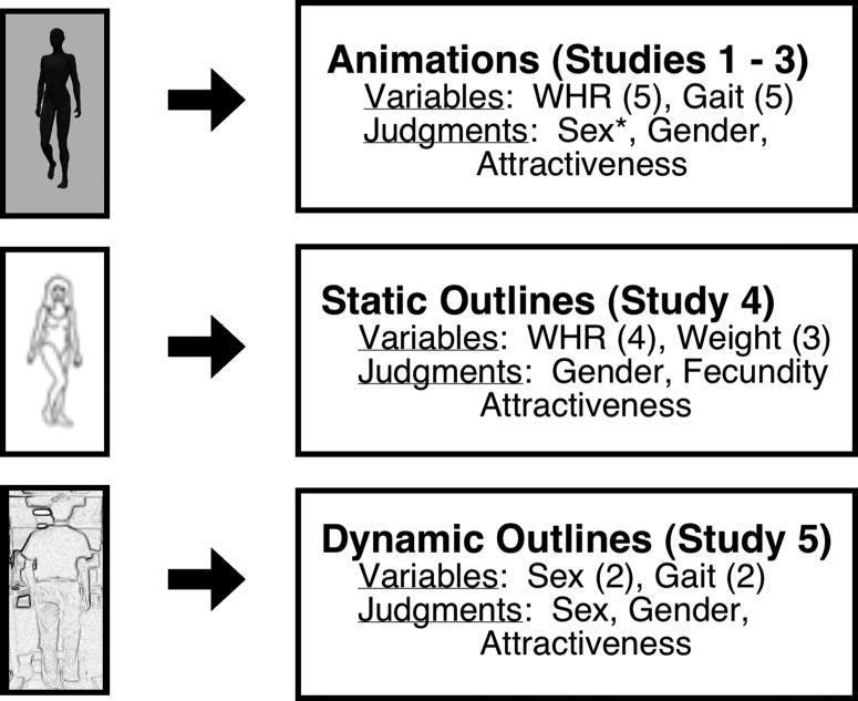 across cultures (20, 22, 23), similar processes should govern evaluative judgments of both men and women.