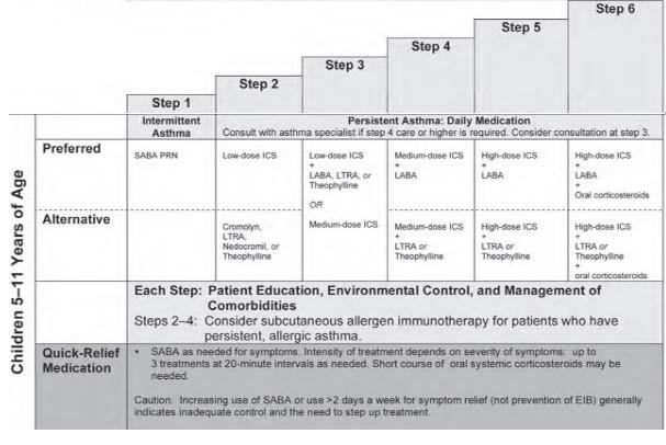 Adapted from 2007 National Asthma Education and