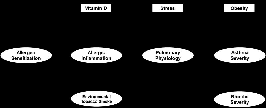 APIC Pathways to Asthma Severity Explains 53.4% Variance in Asthma Severity Liu AH, et al.