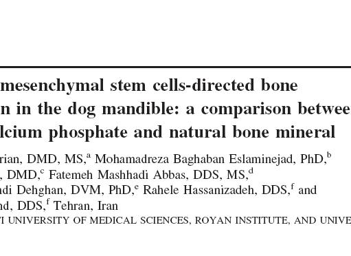 MSCs induced bone formation