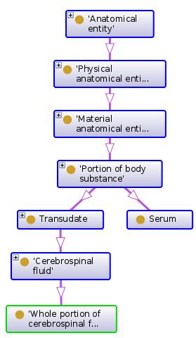 RDFs: RDF Schema Uses RDF to express data model (data schema) Example: classification of body fluids Some RDFs predicates: subclassof the subject is a