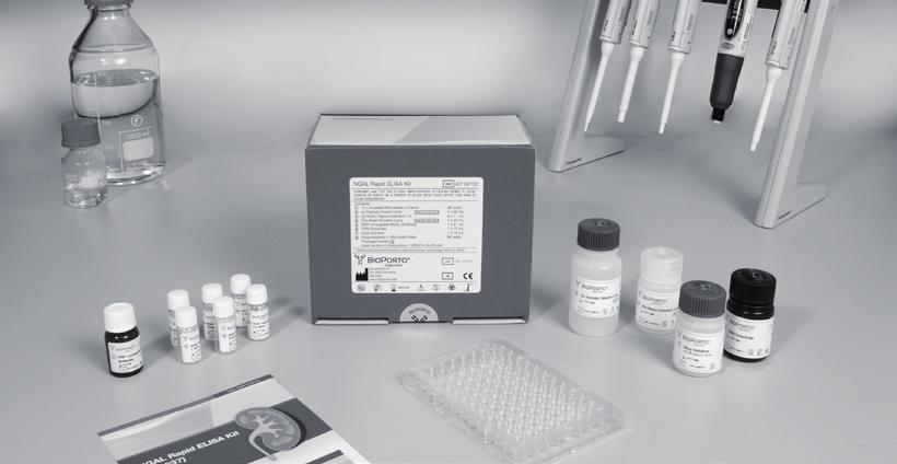 NGAL Rapid ELISA Kit NGAL Rapid ELISA Kit (KIT 037CE) Assay format Calibrators Sample <1 hour Rapid ELISA (Automation possible on open ELISA workstations) Ready-to-use calibrators and working