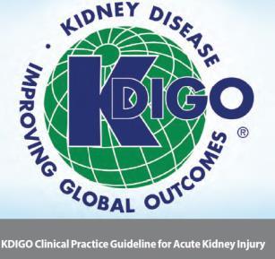 KDIGO Clinical Practice Guidelines, 2011 Kidney Disease: Improving Global