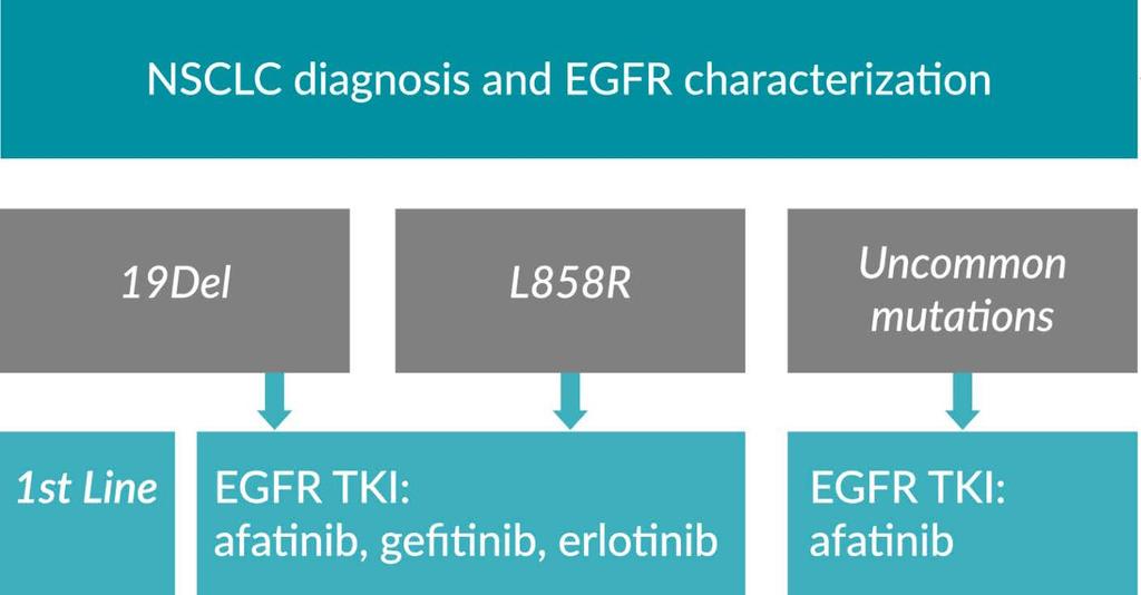 Anticipated change for EGFR-targeted therapies Uncommon mutations (S768I, L861Q, and/or G719X) Disease progression Tumor testing or