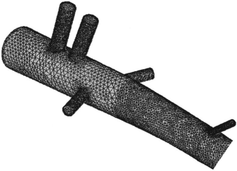 Finite Element Modeling of Flow in the Abdominal Aorta 977 FIGURE 1. Abdominal aorta model with branches identified. The model is not symmetric about the midsagittal plane.