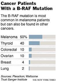 Gain of function mutations in the BRAF oncogene are common in melanomas BRAF is a protein kinase involved in the