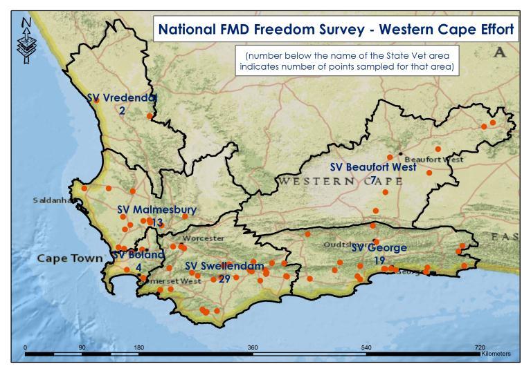 To regain FMD zonal freedom a country wide survey in the parts of RSA that are to be considered free of FMD is necessary.