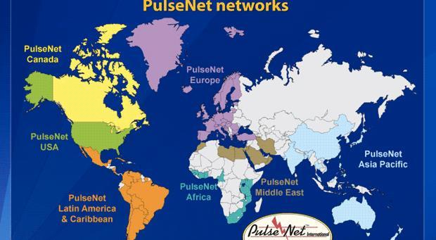 PulseNet