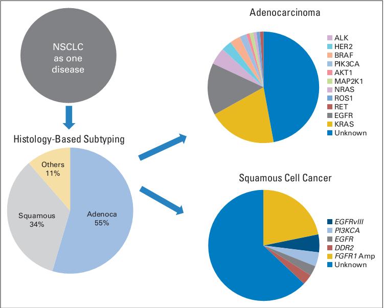 Evolution of non small-cell lung cancer (NSCLC) subtyping from histologic to molecular based.