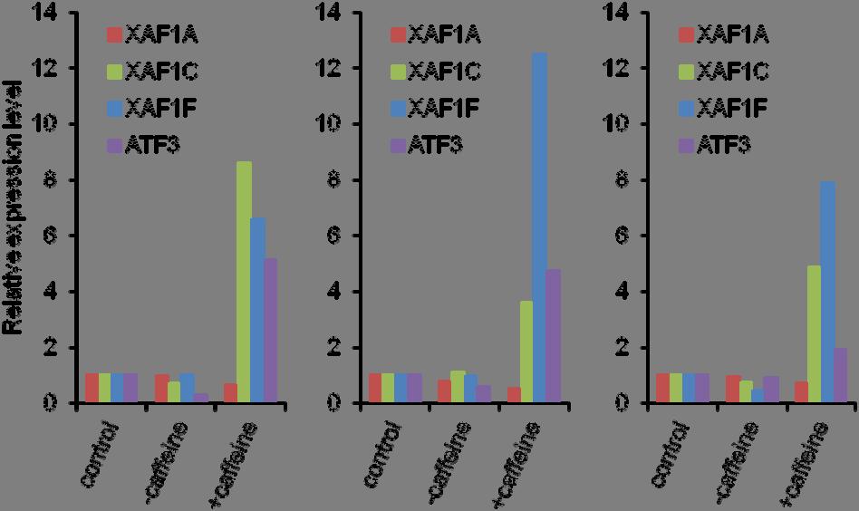 Figure S3 colorectal breast Colo205 LS123 Hs578T Figure S3. Expression levels of XAF1 transcripts in NMD-inhibited cancer cells.