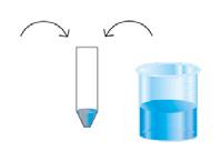 5. REAGENT PREPARATION Allow all reagents to thaw before use. We recommend centrifuging the vials gently after thawing, before pipeting the stock solutions.