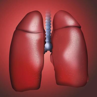 Lung Cancer / Gastrointestinal Cancer 801-900 mesomark EIA MESOMARK EIA is an enzyme linked immunosorbent assay for the quantitative measurement of soluble mesothelin related peptide (SMRP).