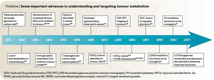 Cancer and metabolism: historic perspective