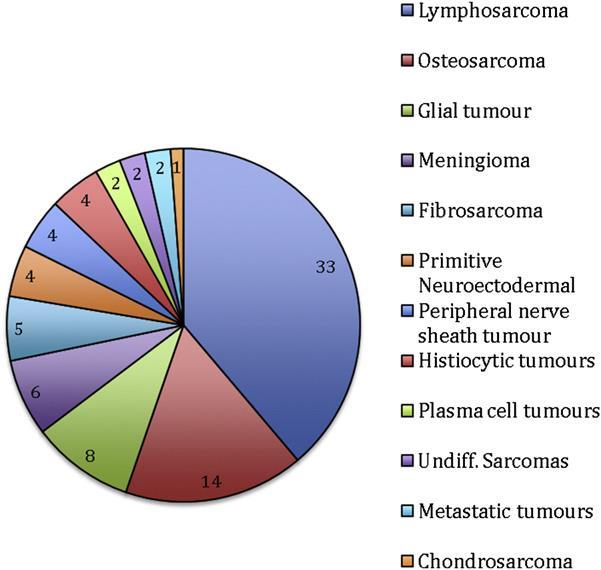 Differentials Neurogenic o Inflammatory - most common FIP (51%) Bacterial myelitis (16%) Cryptococcosis (9%) Unknown (8%) Toxoplasmosis (6%) Eosinophilic meningomyelitis (5%)