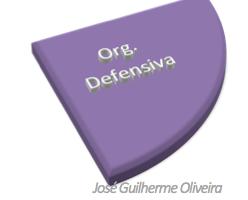 Defensive Organization Pressuring zone defense Objective: to limit, direct & pressure the opponent in