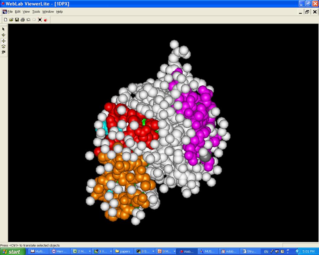 B cell (magenta, orange) and T cell epitopes