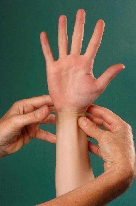 The hand should be exsanguinated (appear white) Release the pressure on the ulnar artery.