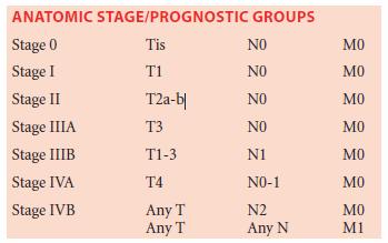 Example of Stage Table from AJCC Manual