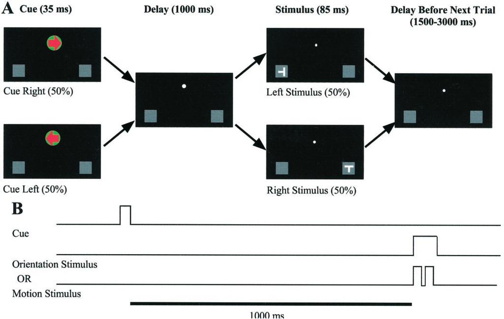 2of6 J. Neurosci., 2000, Vol. 20 Worden et al. and Visuospatial Attentional Biasing Figure 1. Schematic illustration of stimulus configuration.