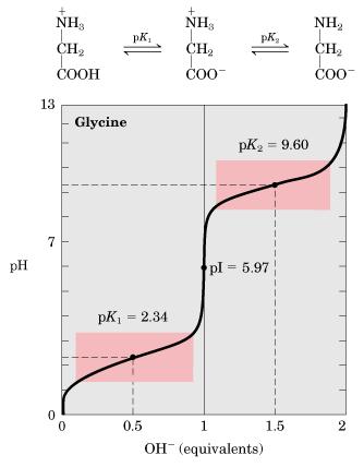 Titration curve of glycine pk1- ph at which 50% of molecules are in cation form and 50% are in zwitterion form.
