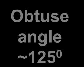 Digital Exam Obtuse Angle Position 2 Check