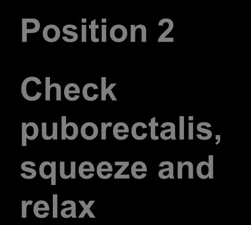 Puborectalis Internal anal sphincter