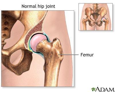 Types of Joints: 1) ball and socket joints