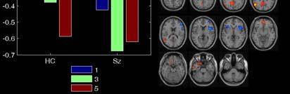 (NIH), 5 MOI RR 000827 (2002-2006) 2006) and 1 U24 RR0219921 (2006 onwards) 39 2010 fmri Course 40 Walter, 2001.