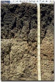 Soil types and