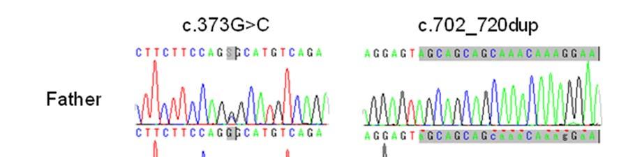 Figure S1 Sanger sequencing of