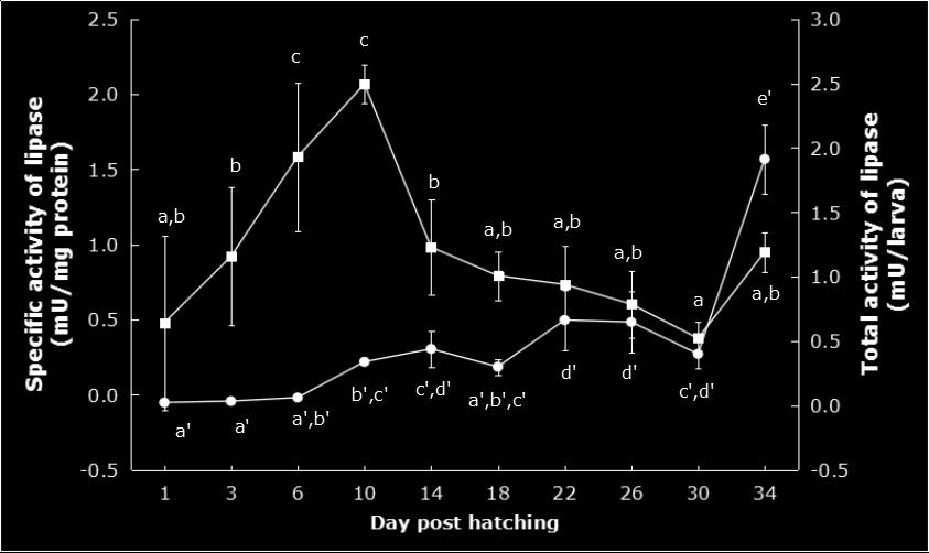 267 mu/mg larva on 34 DPH (P < 0.05, Fig. 4). Fig. 4. Total activity of lipase in mu/larva (black circle) and specific activity of lipase in mu/mg protein (clear square) from 1 to 34 days post-hatching.