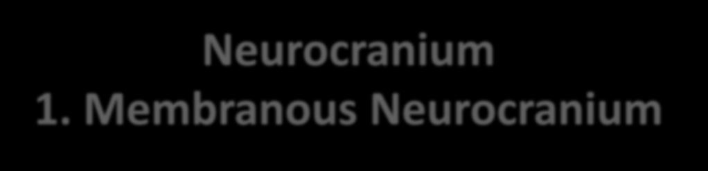 Neurocranium 1.