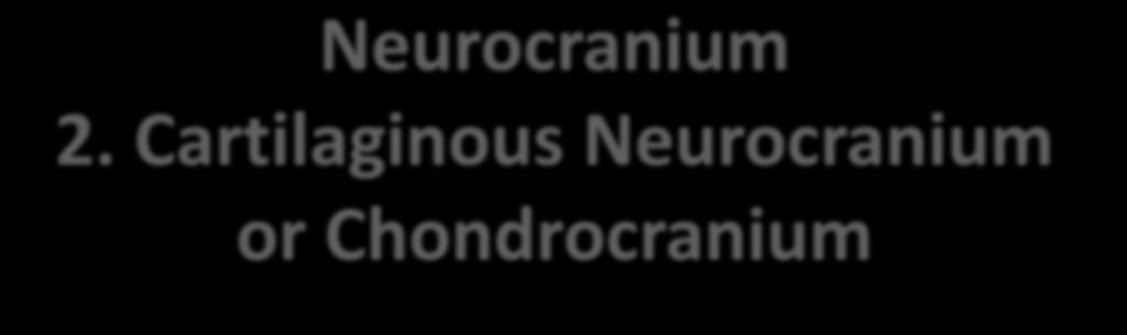 Neurocranium 2.