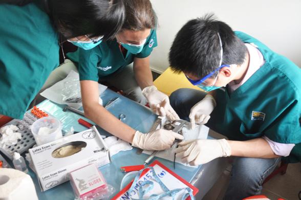 Activities of the PREDICT Vietnam Project during this quarter included the following: Supported improved laboratory capacity to detect viral pathogens in wildlife in Vietnam by ordering and