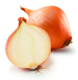 Ingestion of quercetin-rich onion soup
